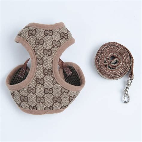 gucci dog|gucci dog harness and leash.